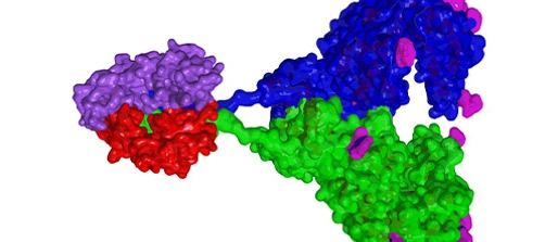 Anti-COVID-19 biological drugs for prevention and treatment