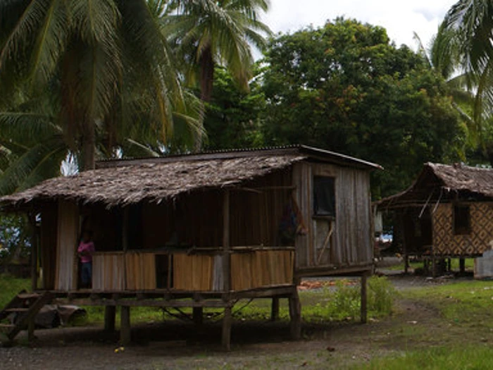 Malaria In Png Cpop 2 (1)